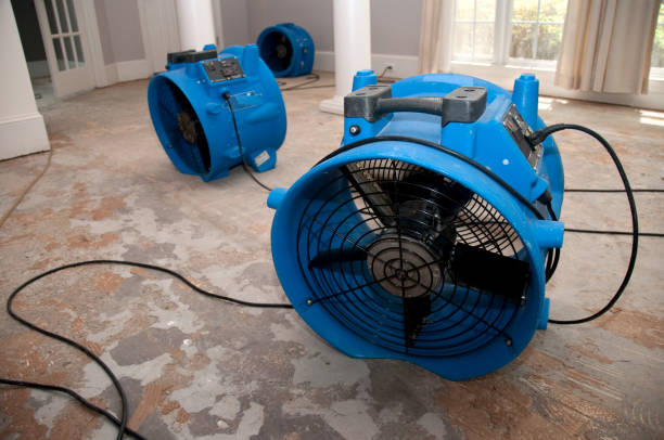 Best Basement water damage restoration  in Merchantville, NJ