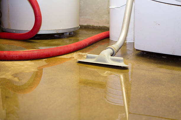 Best 24-hour water damage restoration  in Merchantville, NJ