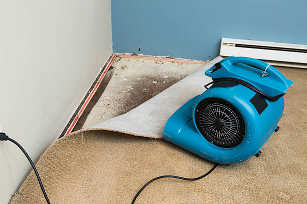 Best Professional water damage repair  in Merchantville, NJ